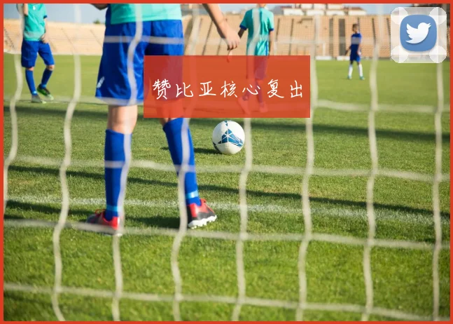 赞比亚核心复出