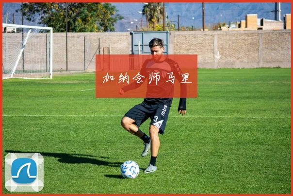 加纳会师马里