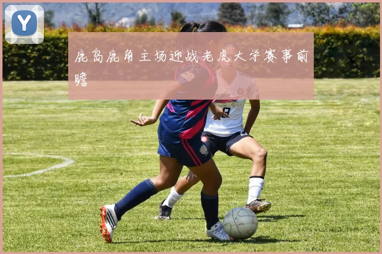 鹿岛鹿角主场迎战老虎大学赛事前瞻