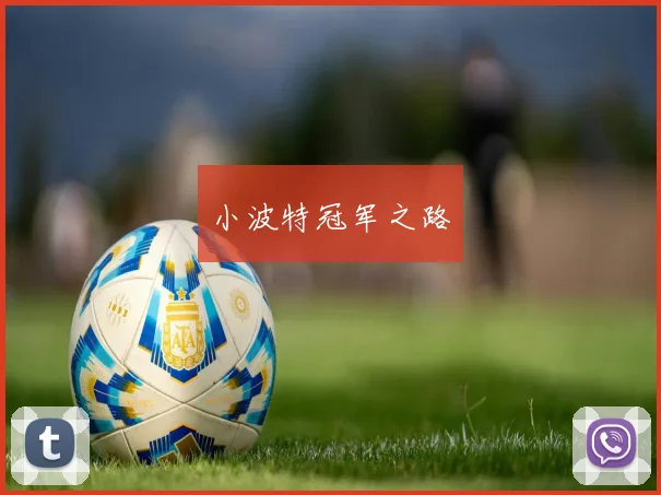 小波特冠军之路
