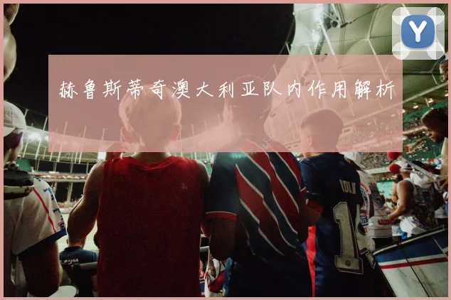 赫鲁斯蒂奇澳大利亚队内作用解析