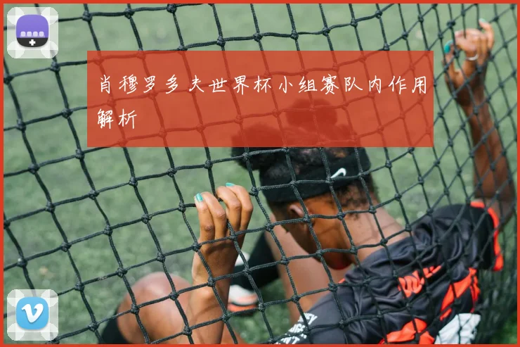 肖穆罗多夫世界杯小组赛队内作用解析