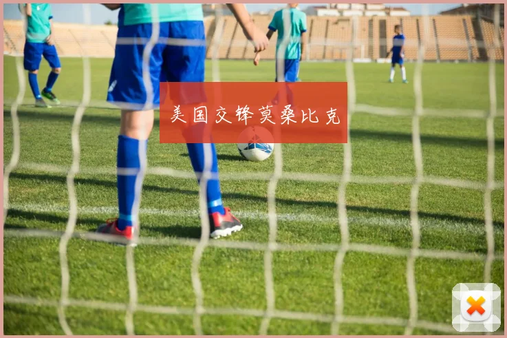 美国交锋莫桑比克