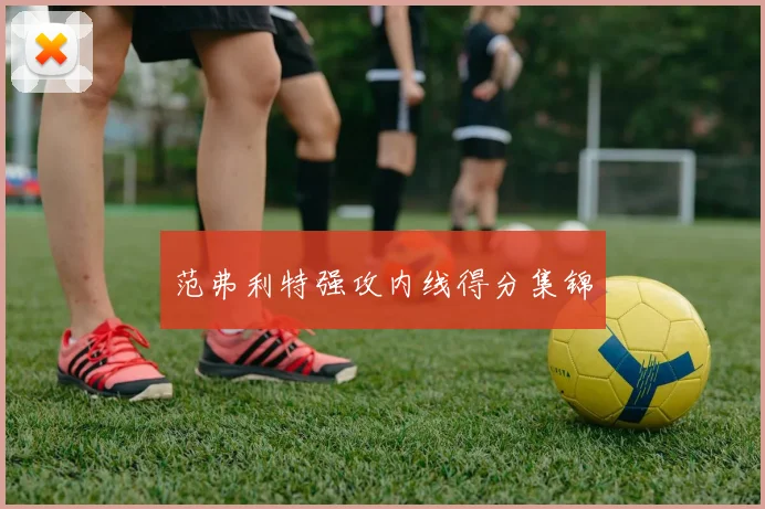 范弗利特强攻内线得分集锦