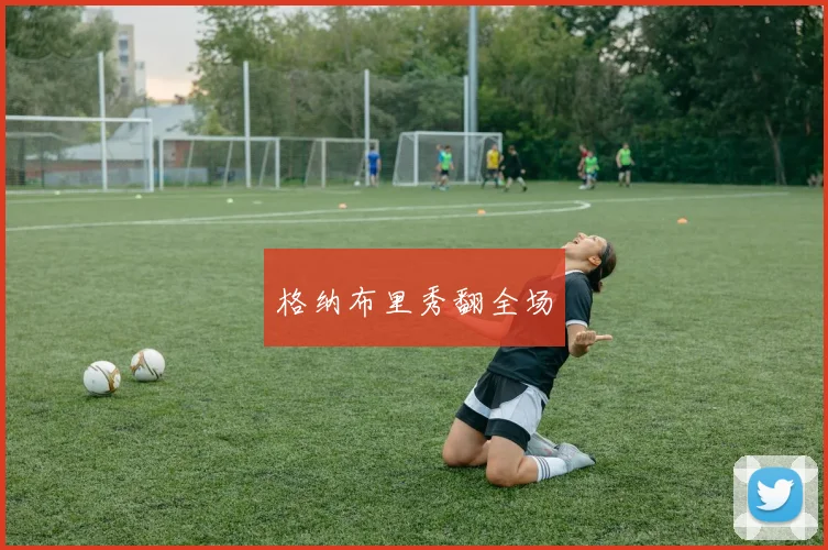 格纳布里秀翻全场