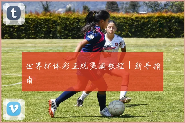 世界杯体彩正规渠道教程｜新手指南