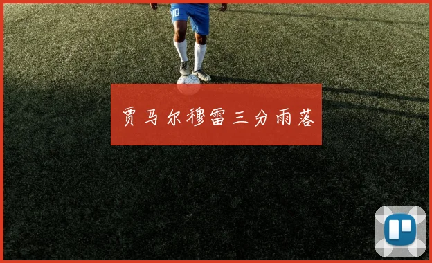 贾马尔穆雷三分雨落