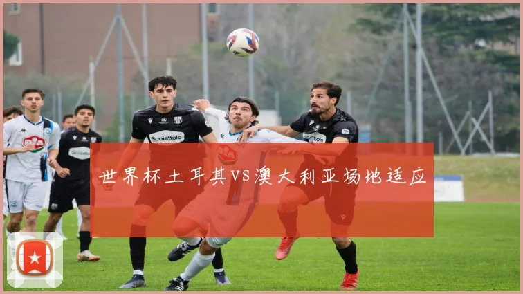 世界杯土耳其vs澳大利亚场地适应