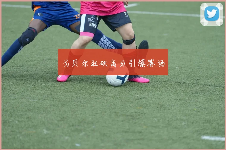 戈贝尔狂砍高分引爆赛场
