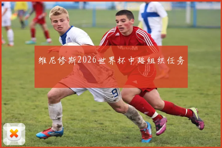 维尼修斯2026世界杯中路组织任务