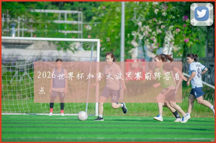 2026世界杯加拿大波黑赛前阵容看点