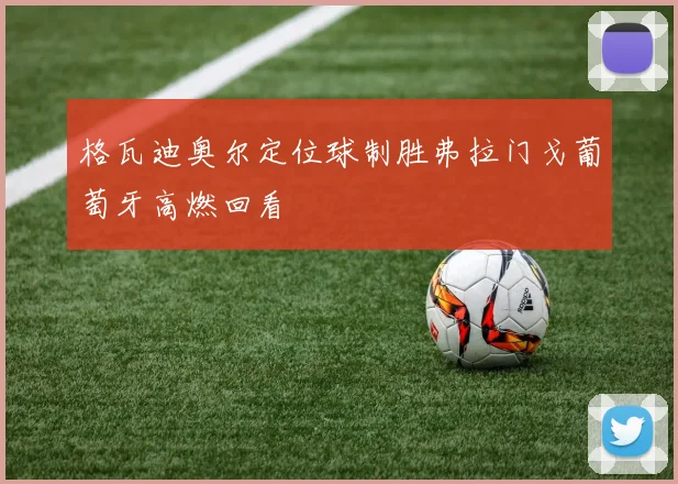 格瓦迪奥尔定位球制胜弗拉门戈葡萄牙高燃回看