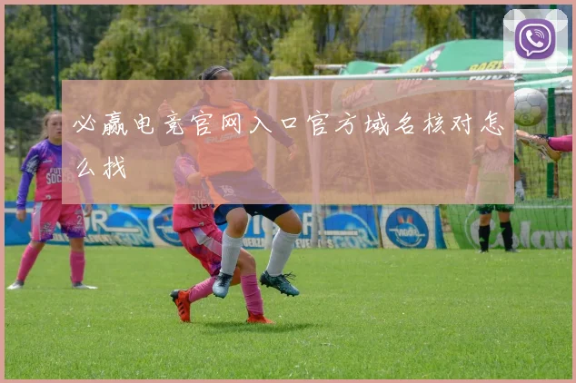 必赢电竞官网入口官方域名核对怎么找