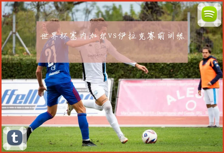 世界杯塞内加尔vs伊拉克赛前训练