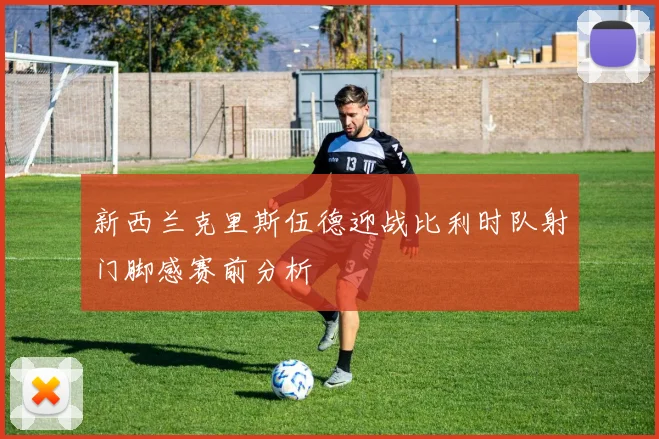 新西兰克里斯伍德迎战比利时队射门脚感赛前分析